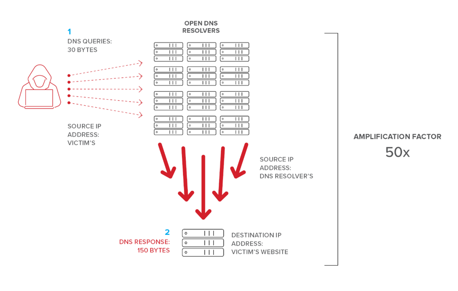 DNS reflection